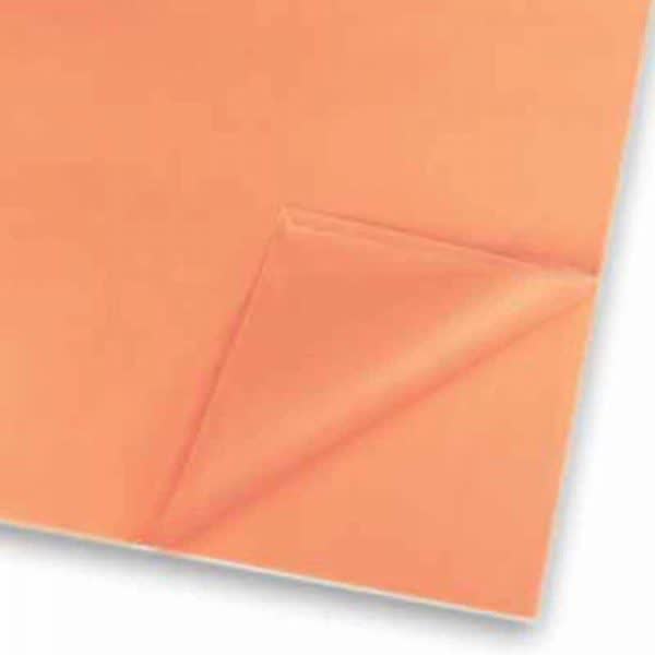 1000001317010-photo1